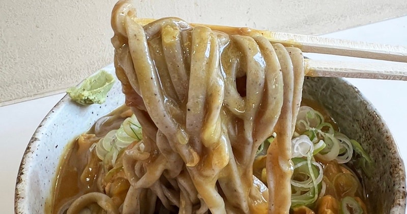 極太の生蕎麦がカレーとランデブーする夏！ 麺処盛盛の「生蕎麦冷やしカレーそば」に見るせめぎ合いと輝き / 富士見台