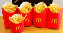 【検証】10円値上がりしたマック「グランドフライ」は本当にポテトMの1.7倍？ 今年も複数買って計量してみた