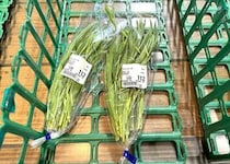 『ストリドーロ』という不思議な野菜を発見！ 食べ方がわからないので、いろいろと試してみた