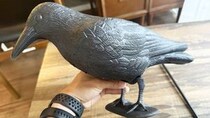 画像をもっと見る