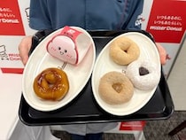【衝撃】もちもちのその先……だと？ ミスドの新作「もっちゅりん」を食べに行ったら科学の力に感動した