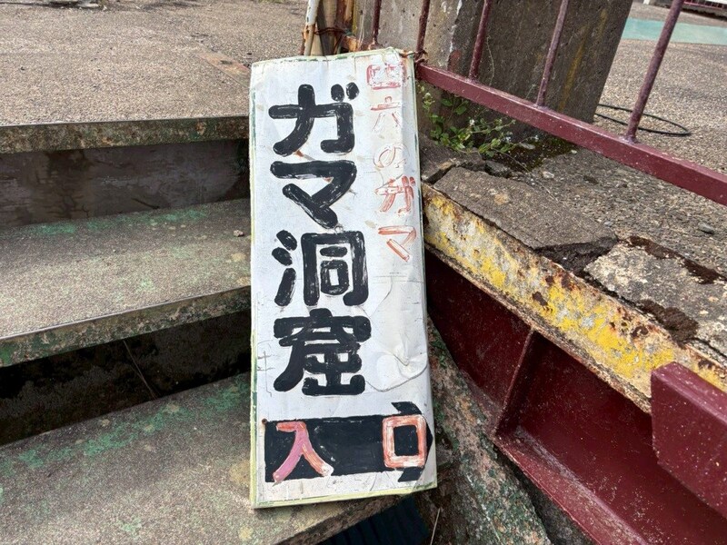 マニアが「最高にB級」と語る筑波山のガマランドが2027年復活へ! この空気は今しか味わえないかもしれない