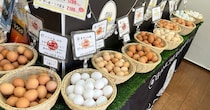 さすらいのブランドたまご店「幻の卵屋さん」の直営常設店がオープン！ Mr.TKGに聞いたオススメ卵3選 / 本駒込