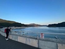 この記事の動画を見る