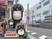 画像をもっと見る
