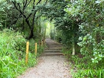【ガチ検証】よみうりランドの「ポケモンワンダー」はポケモンGO向きなのか？ 試してみた結果！