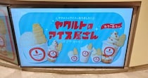 生きたまま腸まで届くのか!? ヤクルトのスイーツ専門店「ヤクルトのアイス屋さん」が渋谷109に期間限定オープン！