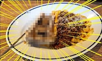 画像をもっと見る