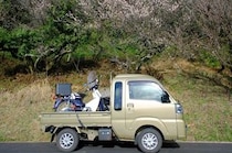 画像をもっと見る
