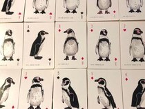 【東武動物公園】世界一むずかしい!? リアルすぎるフンボルトペンギンの神経衰弱をやってみた！
