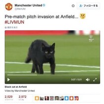サッカーの試合に黒猫が乱入！ 忍者顔負けの忍び込みでピッチに舞い降りる