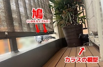 【証拠写真あり】鳩よけのカラス、まったく役に立たず