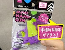 この記事の動画を見る