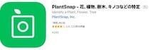 スマホカメラで植物を特定できるアプリ「PlantSnap」を使ってみた結果 → 今後のさらなるアップデートに期待