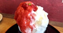 「銀だこ」がひそかにかき氷の販売を開始していたので、食べに行ったら本格的でビビった！