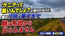 画像をもっと見る