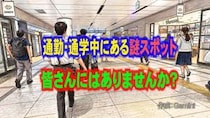 画像をもっと見る