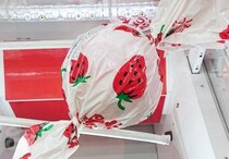 ゲームセンターにあるデカい『いちごみるく』がとても気になったので取ってみた / 期待からの感動、そして哀愁