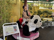 8月7日は名前に「花」がつく人は入園無料！ 浅草花やしきのキャンペーンを見て、台湾の「スシロー改名騒動」を思い出した