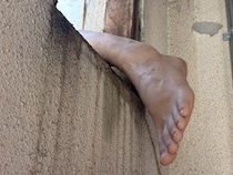 画像をもっと見る
