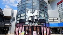 画像をもっと見る