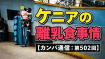 画像をもっと見る