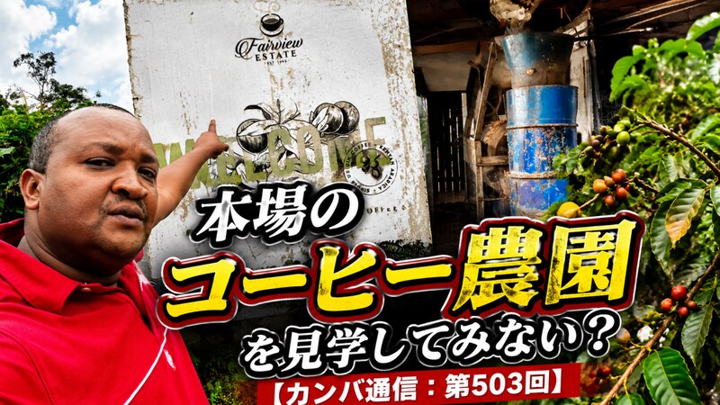 ケニアに来たらサファリだけじゃない! 本場のコーヒー農園を見学してみない?【カンバ通信:第503回】