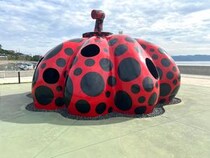 香川県・直島を5時間で巡るのは無謀だった！ 滞在時間が足りず「もっと居たかった」と後悔した理由と現地の魅力