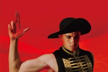 この記事の動画を見る