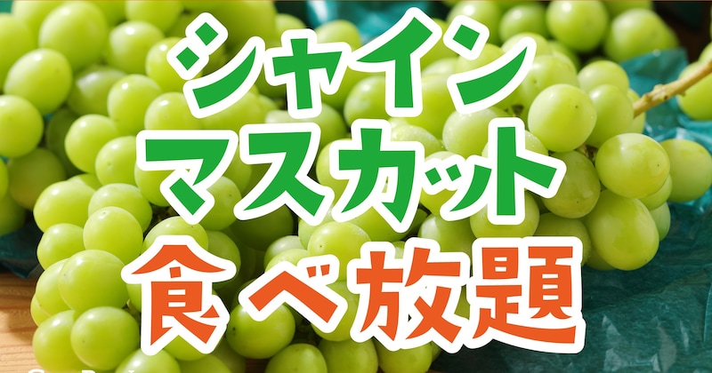 食欲の秋はスイパラへ🍇シャインマスカットに生絞りモンブラン、塩むすびに豚汁までぜ~んぶ食べ放題ですっ♡