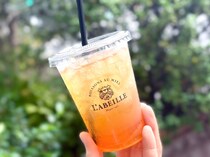 1度飲んだら忘れられない…フランス発はちみつ専門店の「はちみつオレンジの紅茶割り」が最高すぎて小躍りしちゃうレベルです🍯