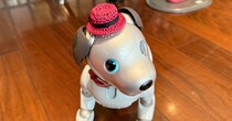 aiboのお出迎えって…可愛すぎるでしょ！ハイアット セントリック 銀座 東京「aiboアフタヌーンティー」がaibo愛にあふれてた