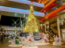 画像をもっと見る