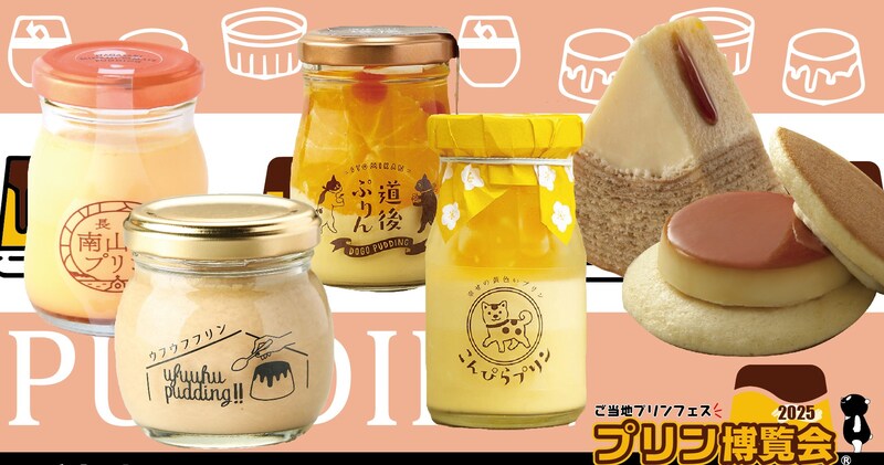 イオンレイクタウンmoriのブラックフライデーとコラボしたのは…プリン!?日本各地のプリンを一堂に集めた「プリン博覧会2025」開催!
