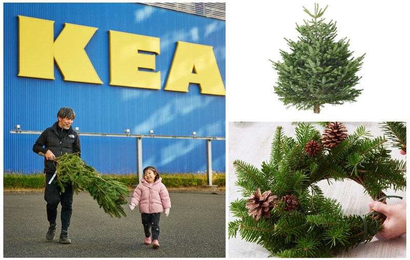 2025年クリスマスはIKEAで「本物のモミの木」をゲットしよう🎄リースやスワッグ作りに使える「モミの木の枝」あるらしいぞ…🎅