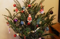 IKEAで生のモミの木を買ってきたら部屋がいきなりクリスマス感MAXに！ これは本気で北欧にいる気分になってきた!!