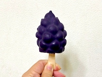 画像をもっと見る