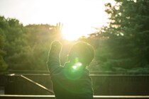 画像をもっと見る