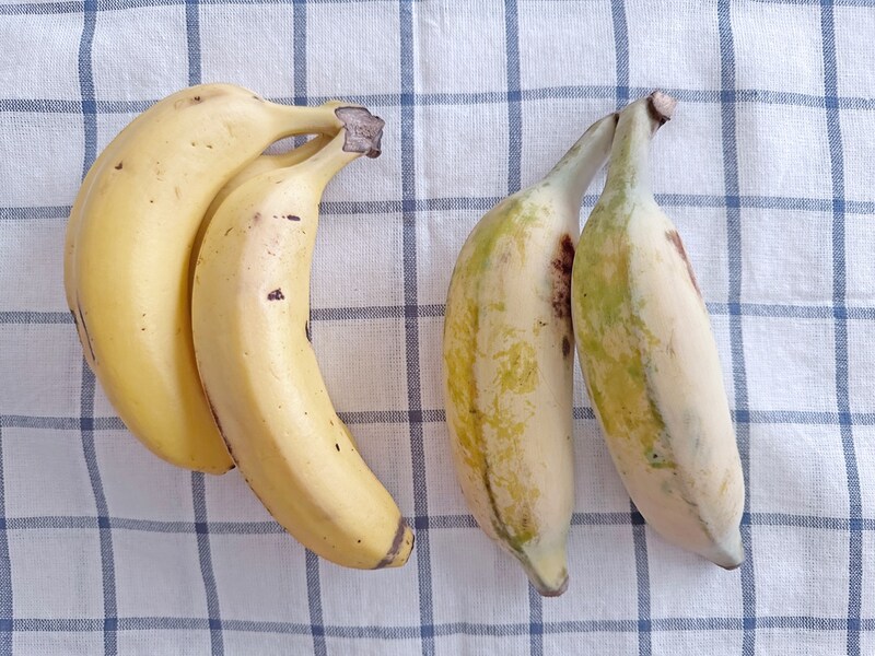 【銀バナナ】沖縄で見たことないくらいずんぐりむっくりなバナナを発見！食べてみたら味も新感覚でした🍌