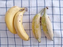 画像をもっと見る