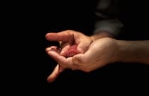 【寿司検定】寿司アンバサダーや海外で寿司職人を目指すチャンス🍣4月30日まで無料開催中だよ〜！