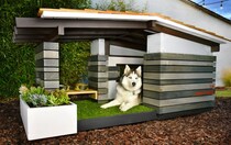 今どきの「犬小屋」の進化ぶりがすごい！ 下手したら人間の家より豪華な気がするんですケド…