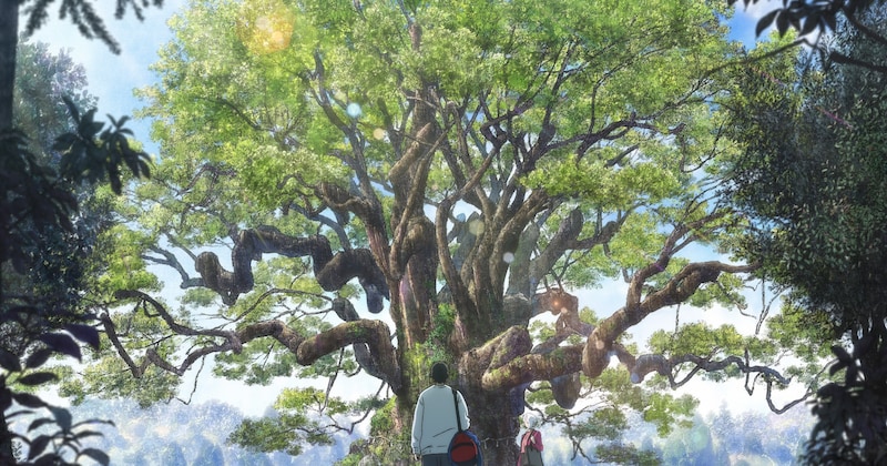 東野圭吾の小説が初のアニメ映画化！齋藤飛鳥と宮世琉弥の声の演技が素晴らしい映画『クスノキの番人』