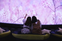 プラネタリウムでひと足早く「お花見」しちゃお♪ 「宇宙の香り」がするドリンクも発売されるよ〜