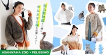 フェリシモ×旭山動物園コラボ🦊キタキツネ、ホッキョクグマにキングペンギンなどになりきれる＆売上の一部が寄付できるよ♡