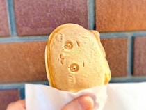 画像をもっと見る