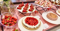 京王プラザホテルのいちご情報入手！天国みたいな空間が広がる「ストロベリースイーツブッフェ」が最高の一言じゃおさまりません