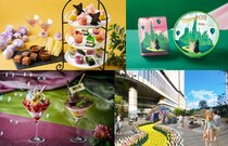 画像をもっと見る