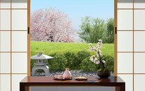 今年のお花見どうする？  「おひとりさま」「ドライブやボートでの花見」「桜を感じるお酒を家で楽しむ」など多様化が進んでいるらしい…！