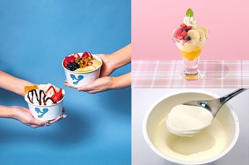 韓国で人気のYGYGにYOGURT WORLD、ロイヤルホストやココスまで!2026最新ヨーグルト情報まとめ